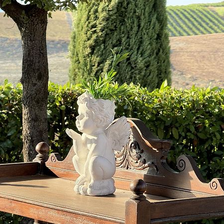 Agriturismo Il Raduno - Max Lelli Marsiliana Buitenkant foto