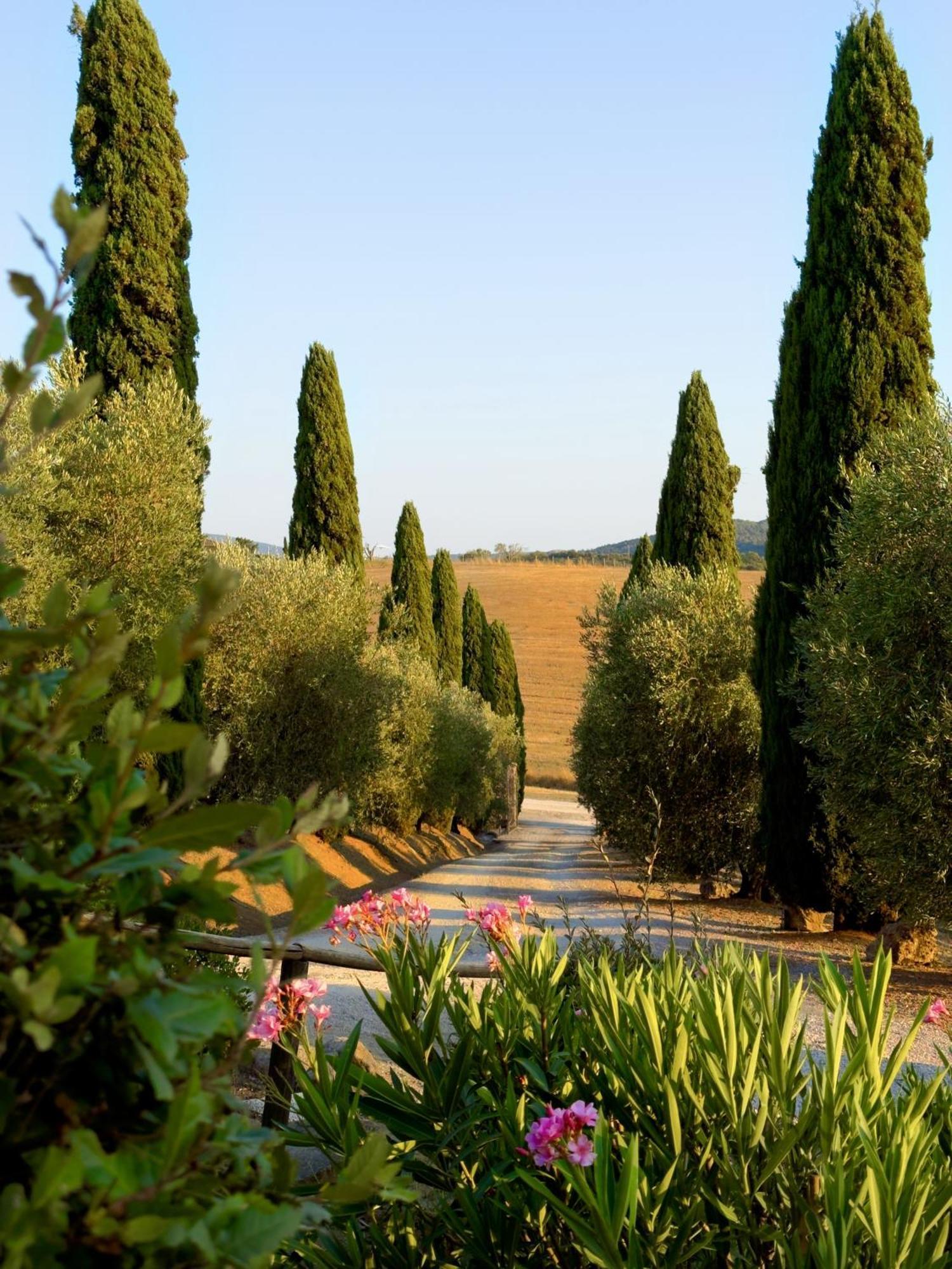 Agriturismo Il Raduno - Max Lelli Marsiliana Buitenkant foto
